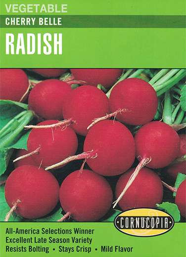 170 Cherry Belle Radish Seed, 4 g