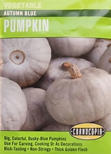 333 Vegetable Seed, Autumn Blue Pumpkin, 5 g