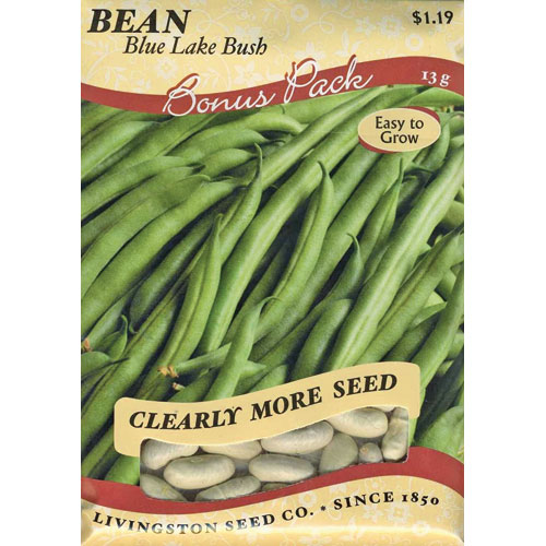 Y4010 Blue Lake Bush Bean Seed, Bean, 13 g Pack