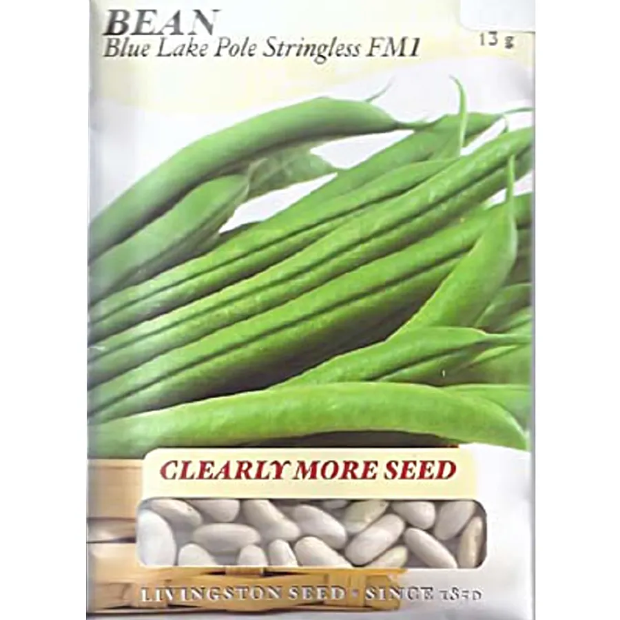 Y4015 Blue Lake Stringless Bean Seed, Bean, 13 g Pack