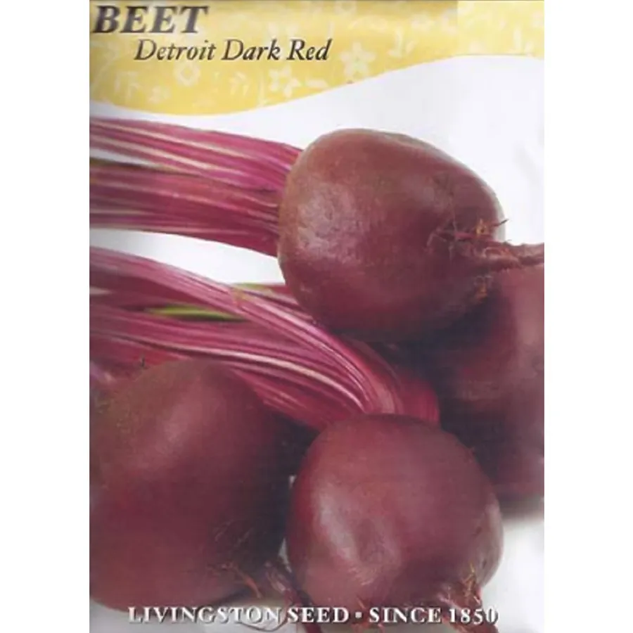 Y4130 Detroit Dark Red Beet Seed, Beet, 5.2 g Pack