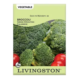 Y4135 Broccoli Green Sprout Calabrese Seed, Broccoli, 1.32 g Pack