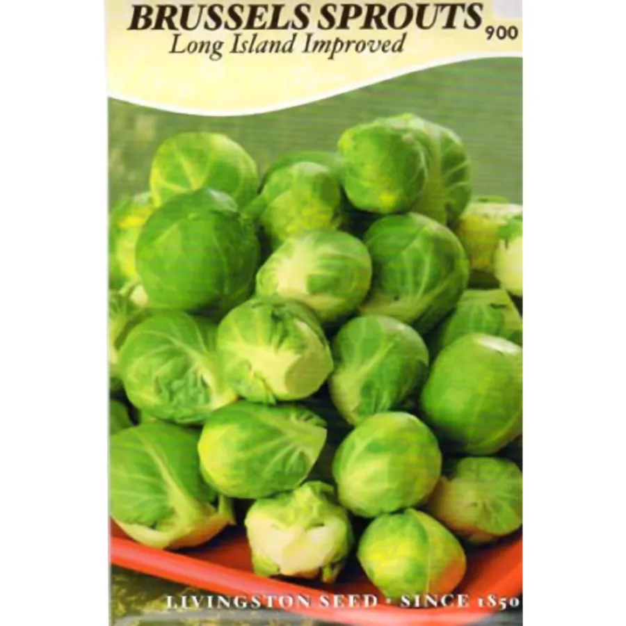 Y4140 Long Island Improved Brussels Sprouts Seed, Brussel, 900 mg Pack
