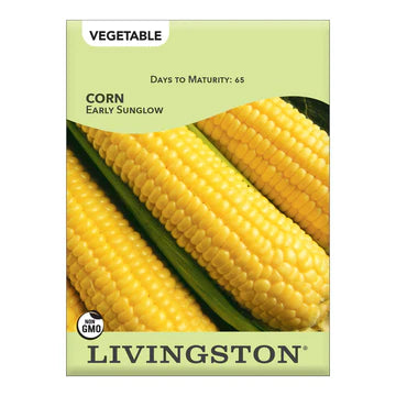 Y4230 Early Sunglow Corn Seed, Corn, 13 g Pack