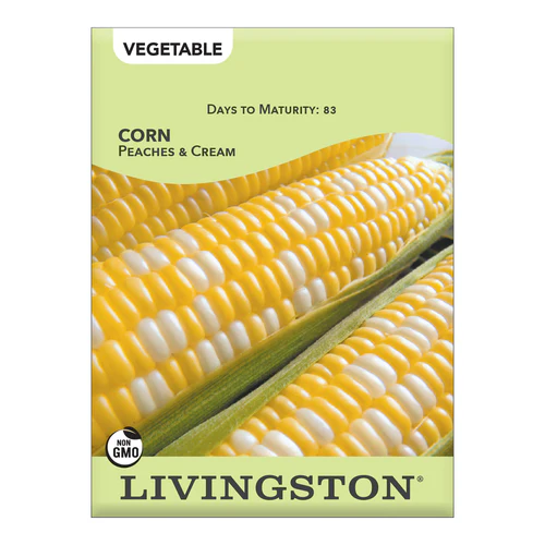 Y4270 Peaches and Cream Corn Seed, Corn, 13 g Pack