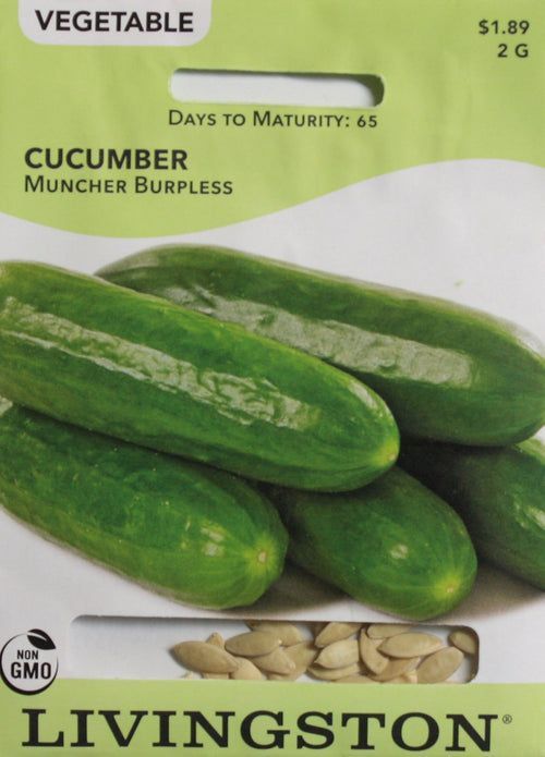Y4330 Burpless Muncher Cucumber Seed, Cucumber, 2 g Pack