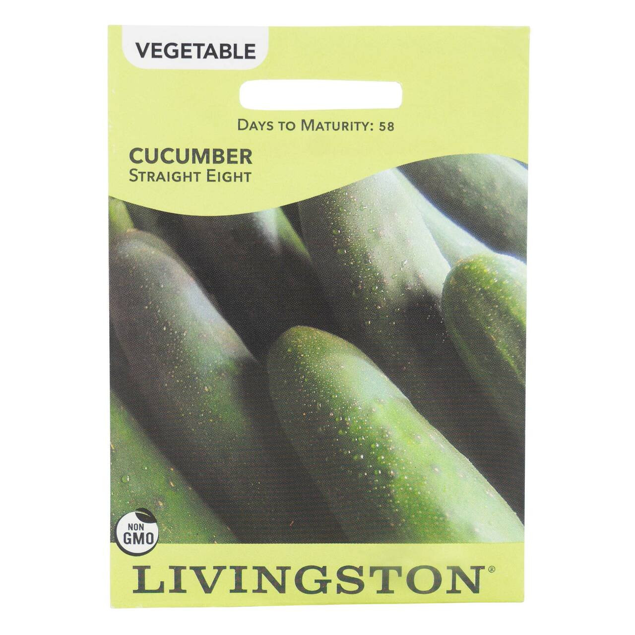 Y4340 Straight Eight Cucumber Seed, Cucumber, 2 g Pack