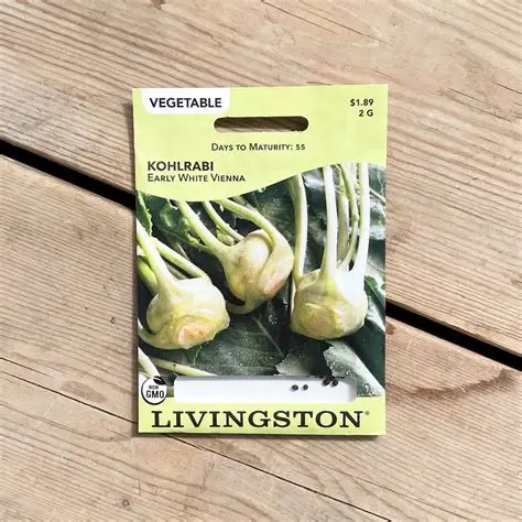 Y4370 Early White Vienna Kohlrabi Seed, Kohlrabi, 2 g Pack