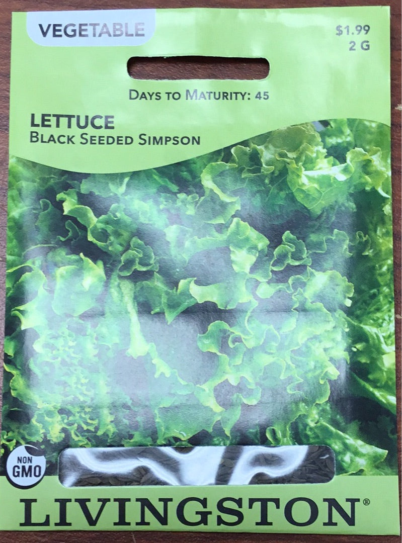 Y4385 Simpson Lettuce Seed, Lettuce, 1.8 g Pack