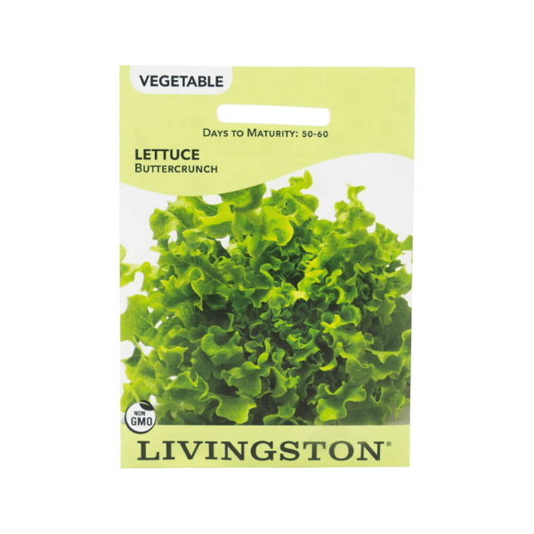 Y4390 Buttercrunch Lettuce Seed, Lettuce, 1.5 g Pack