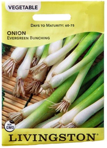 Y4510 Evergreen Bunching Onion Seed, Onion, 1 g Pack
