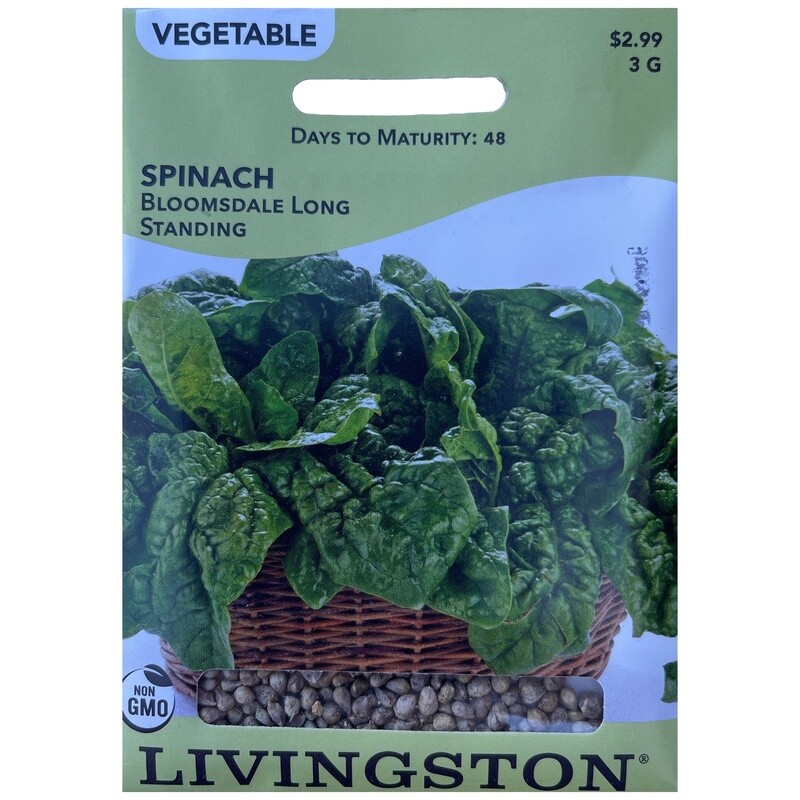 Y4730 Bloomsdale Long Standing Spinach Seed, Spinach, 6.3 g Pack