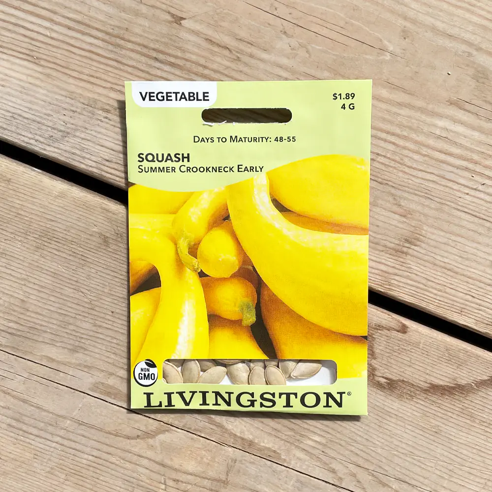 Y4840 Summer Crookneck Early Squash Seed, Squash, 4 g Pack