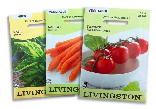 Y4980 Vegetable Seed, Crimson Cushion Beefsteak Tomato, 300 mg Pack