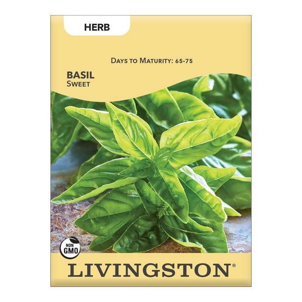 Y6535 Sweet Basil Seed, Basil, 750 mg Pack
