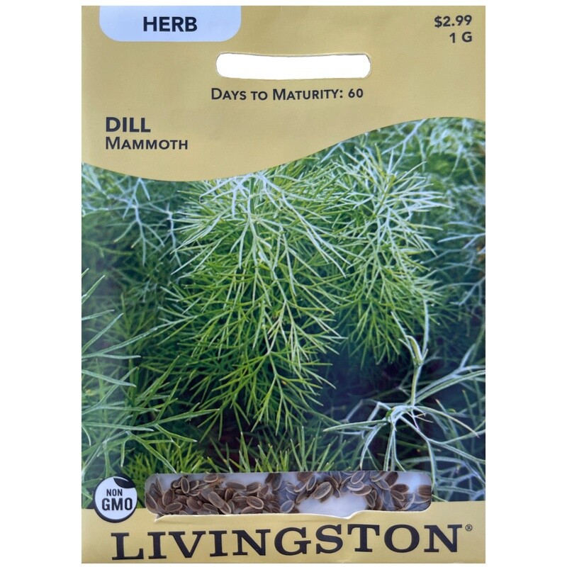 Y6590 Mammoth Dill Seed, Dill, 2 g Pack