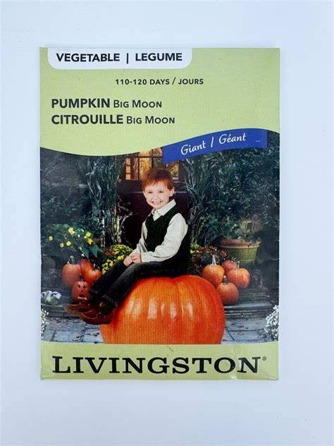 Y8520 Big Moon Pumpkin Seed, Pumpkin, 5 g Pack