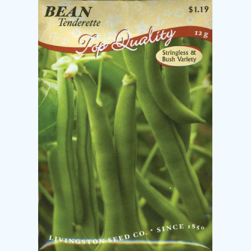 Y4085 Tenderette Bush Bean Seed, Bean, 13 g Pack