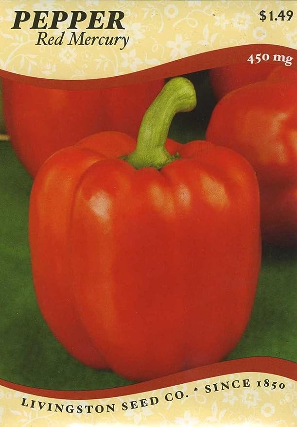 Y4615 Red Mercury Bell Pepper Seed, Pepper, 450 mg Pack