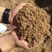 Paver/Garden Sand