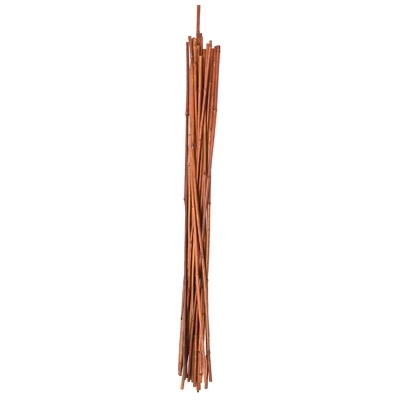 89784GT Plant Stake, 5 ft L, Bamboo