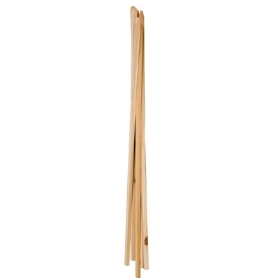 89789GT Plant Stake, 4 ft L, Wood