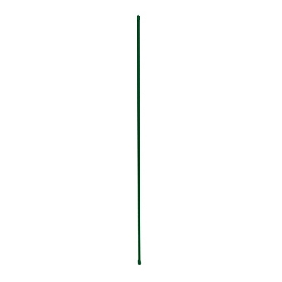 Sturdy Plant Stake, Plastic-Coated Steel, 6-Ft.