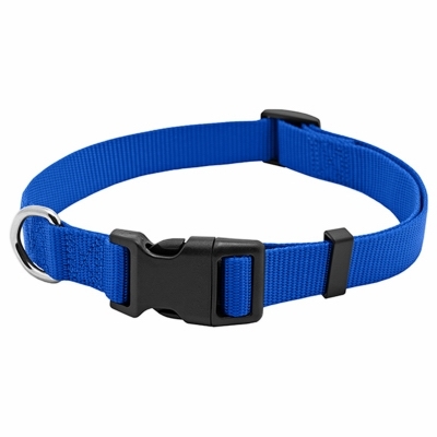 PE223885 Adjustable Dog Collar, 26 in L, 1 in W, Nylon, Blue