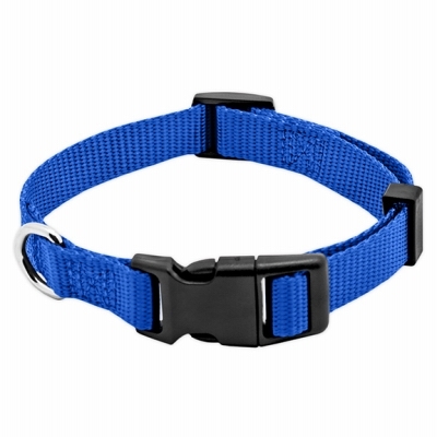 Pet Expert PE223887 Adjustable Dog Collar, 16 in L Collar, 5/8 in W Collar, Nylon, Blue