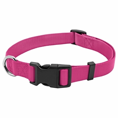 Pet Expert PE224001 Adjustable Dog Collar, 26 in L Collar, 1 in W Collar, Nylon, Pink