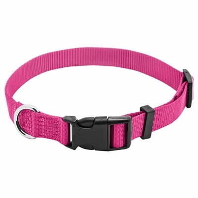 Pet Expert PE224002 Adjustable Dog Collar, 20 in L Collar, 3/4 in W Collar, Nylon, Pink