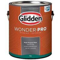 Wonder-Pro GLWP30WB/01 Paint, Flat Sheen, Pastel Base/White, 1 gal, 400 sq-ft/gal Coverage Area