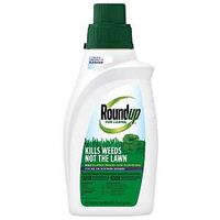 LAWN WEED KILL CONC SOUTH 32OZ