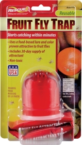 FFTR-BB4 Fruit Fly Trap, 1 Card