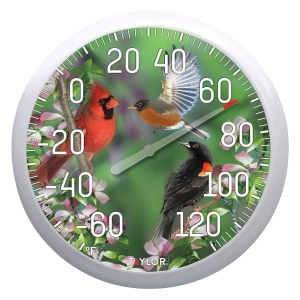 6774 Bird Thermometer, Multi-Color Casing