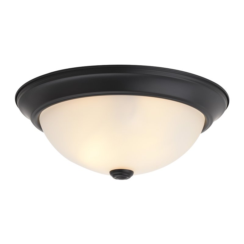 OG24001 Replaceable Bulb, 120 V, 2-Lamp, Fluorescent, Incandescent Lamp, Black Fixture