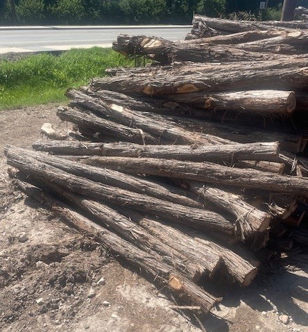 5 in x 6 in x 7 ft Bark on Cedar Round post #2