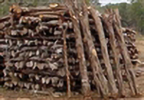 Cedar Blocks for Clothes Storage Natural Aromatic Texas Red Cedar
