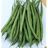 Y4037 French Filet Seed, Bean