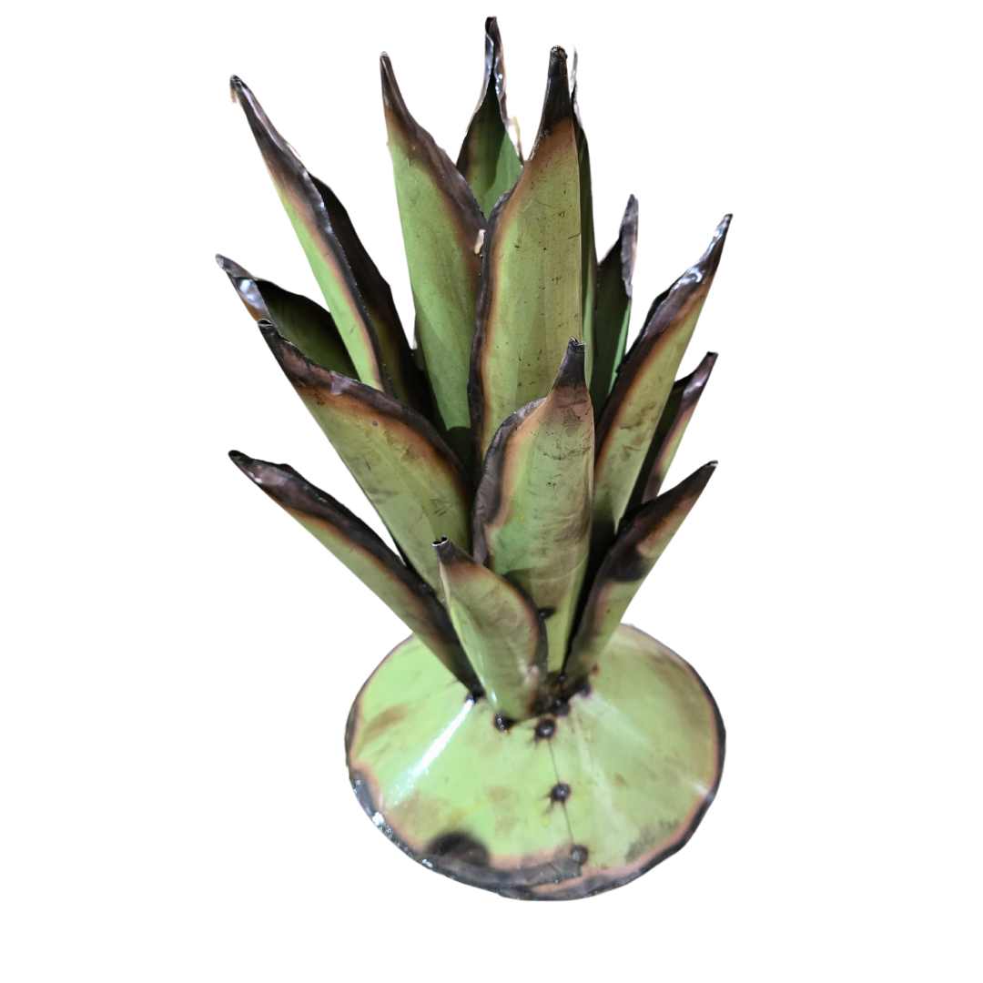 Sourcing REAL AGAVE