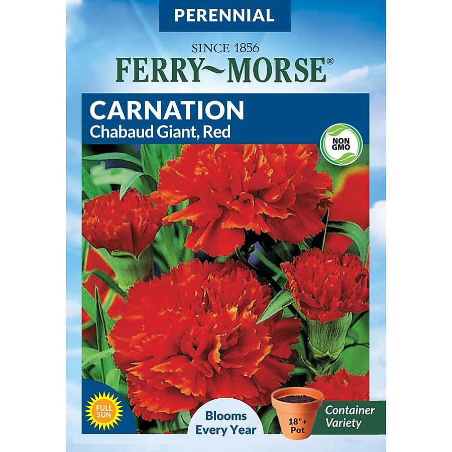 Y3042 Flower Seed, Chaubaud MC Carnation