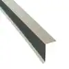 5506941 Eave Panel Trim, 4-7/8 in W, 10 ft 2 in L, 26 ga, Galvalume, Silver