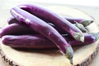 245 Vegetable Seed, Eggplant Japanese Long Purple