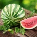 186 Fruit Seed, Watermelon Crimson Sweet