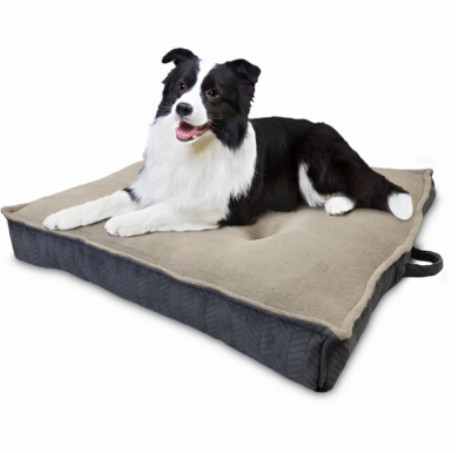 AMERICAN KENNEL CLUB AKC6937TV
