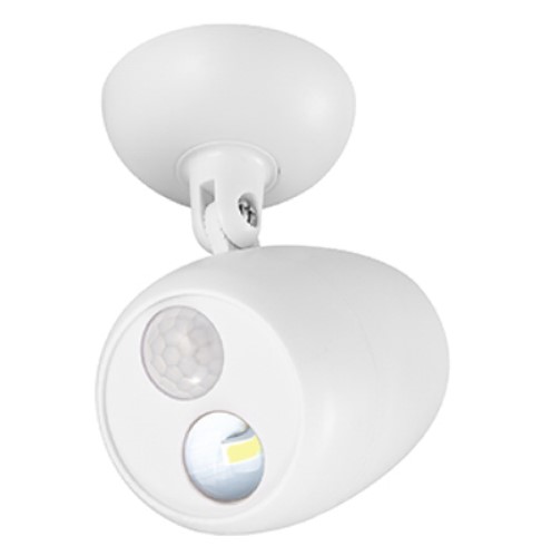globe 79765