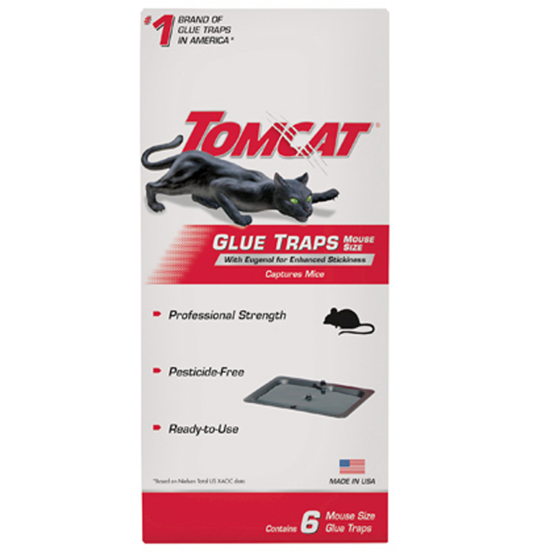 Tomcat 362610