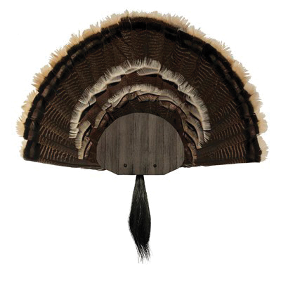 Turkey Decoys