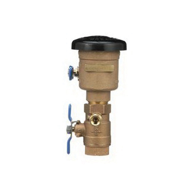 Pressure Vacuum Breakers