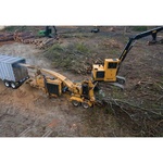 Bandit 2590